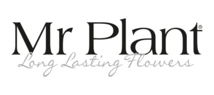 Mr Plant logo